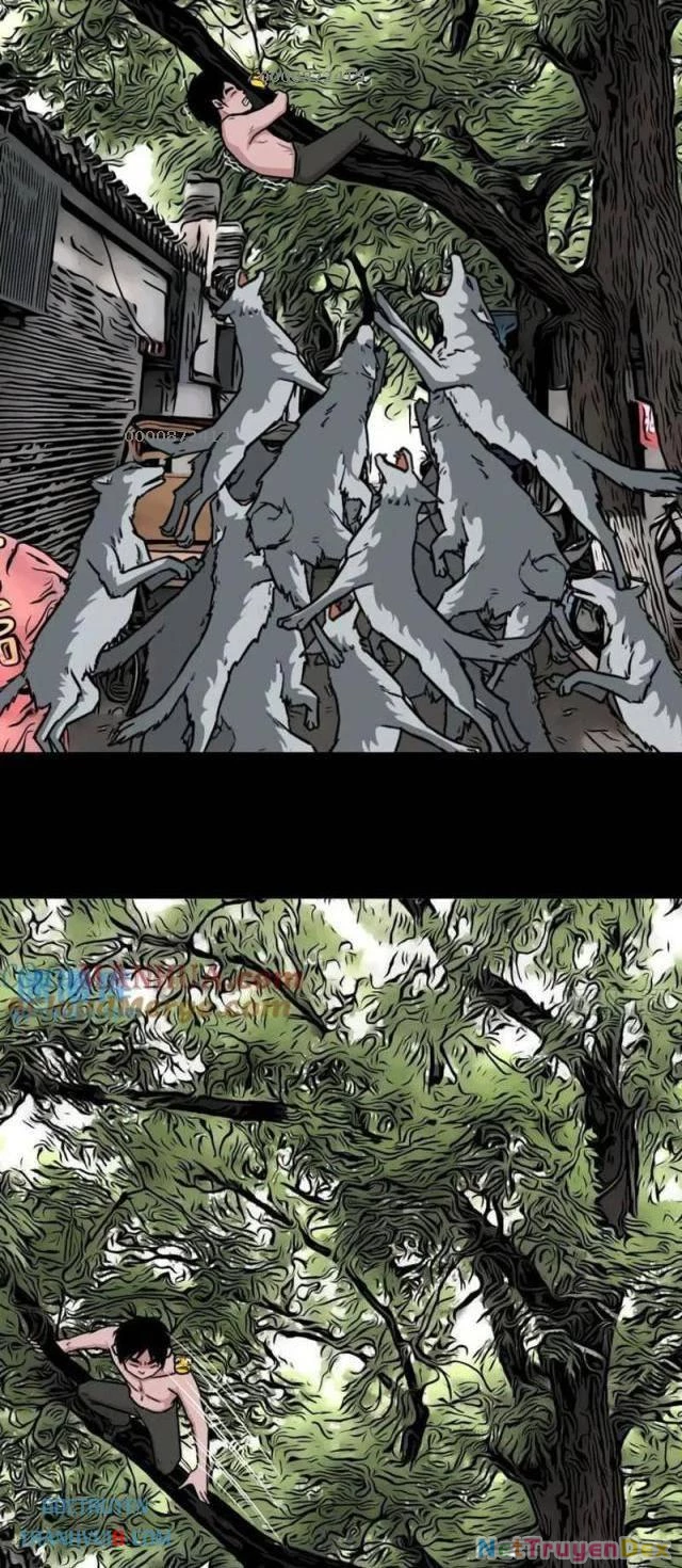 Đấu Yếm Thần Chapter 233 - Trang 3