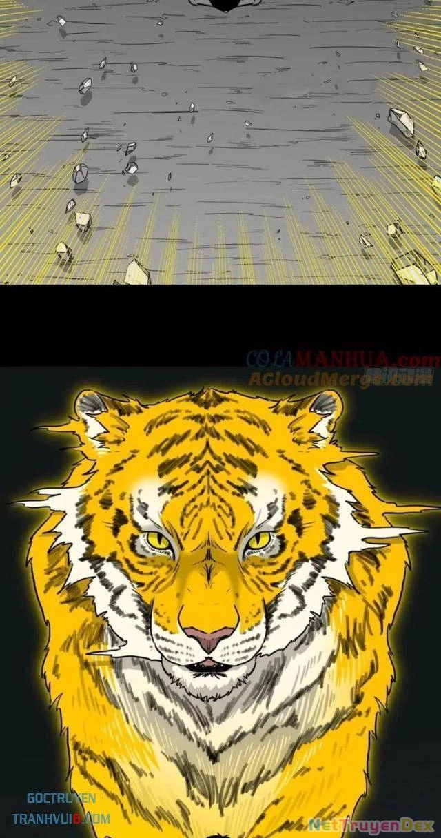 Đấu Yếm Thần Chapter 235 - Trang 3