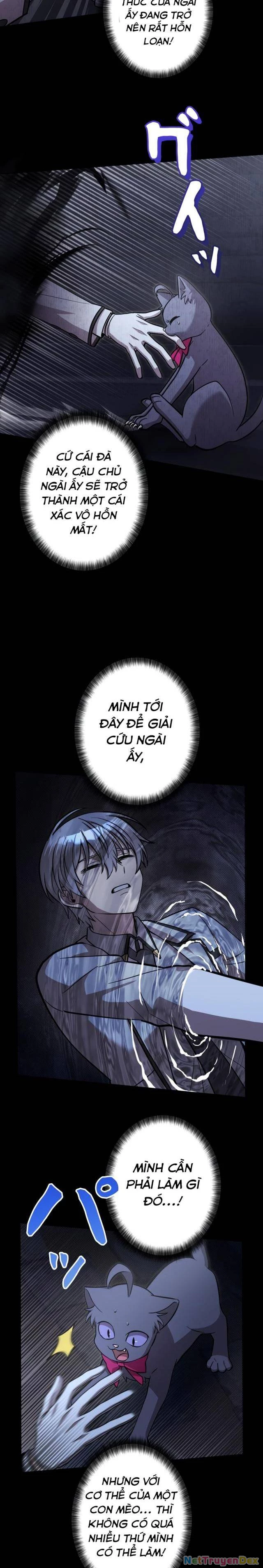 Các Nữ Anh Hùng Muốn Giết Tôi, Một Anh Hùng Chapter 15 - Trang 3