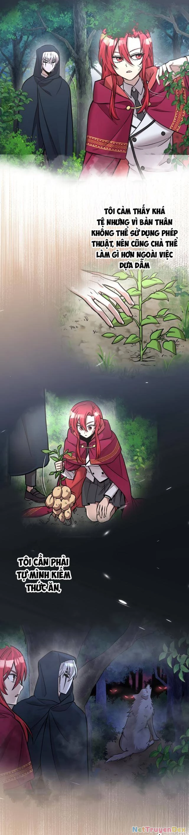 Các Nữ Anh Hùng Muốn Giết Tôi, Một Anh Hùng Chapter 17 - Trang 3