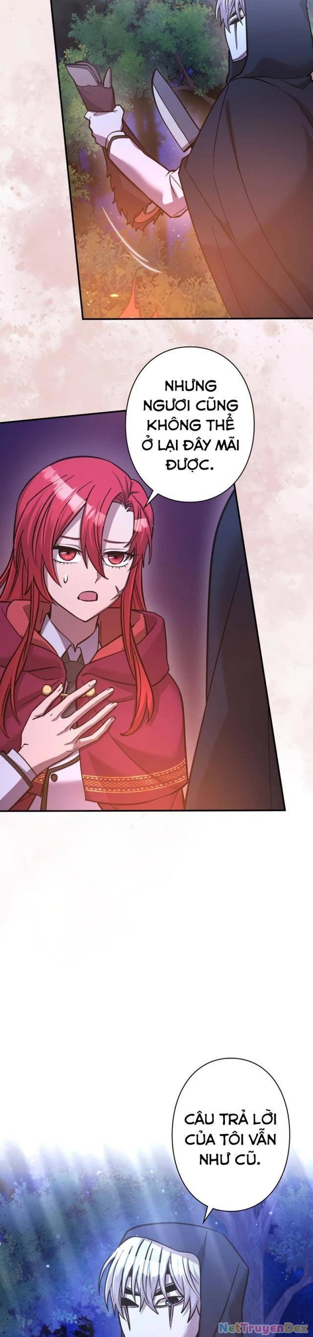 Các Nữ Anh Hùng Muốn Giết Tôi, Một Anh Hùng Chapter 17 - Trang 3