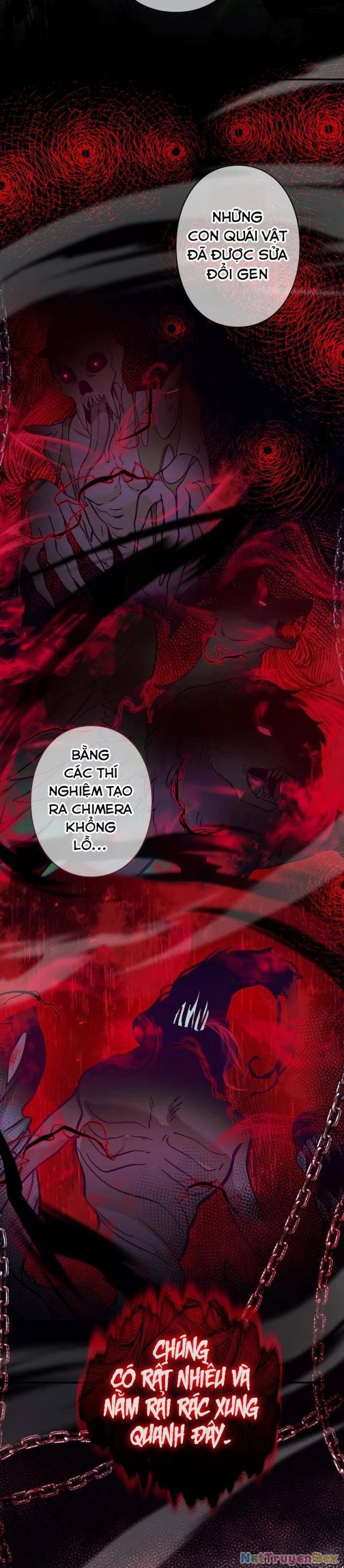 Các Nữ Anh Hùng Muốn Giết Tôi, Một Anh Hùng Chapter 17 - Trang 3