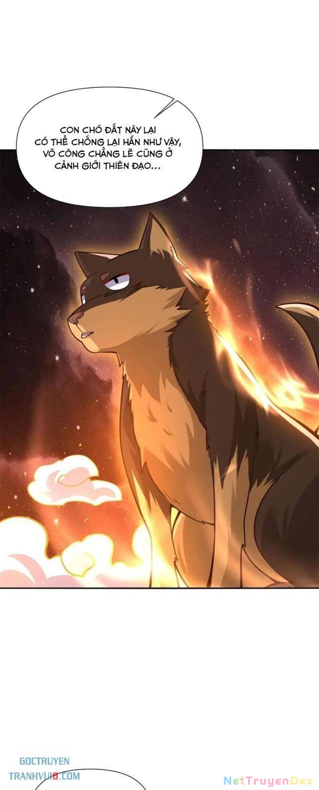 Nguyên Lai Ta Là Tu Tiên Đại Lão Chapter 517 - Trang 4