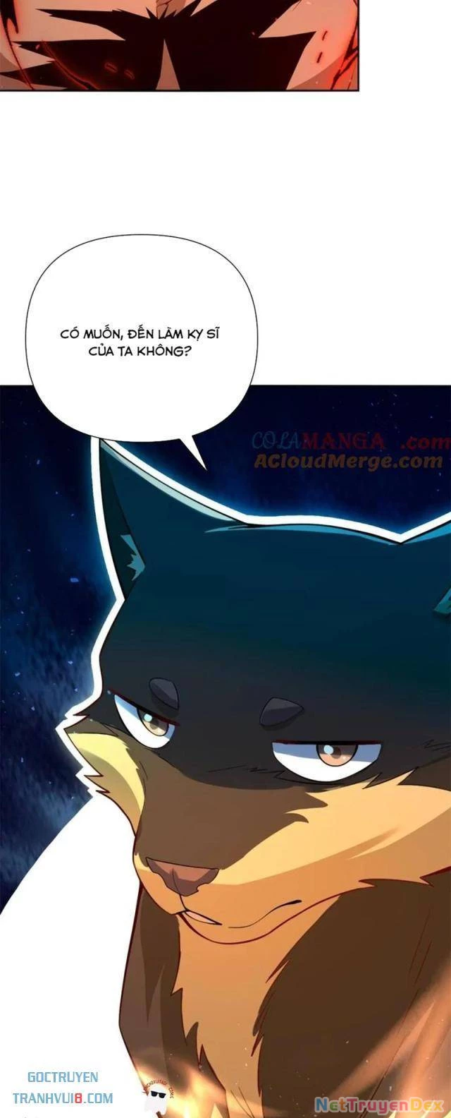 Nguyên Lai Ta Là Tu Tiên Đại Lão Chapter 517 - Trang 4