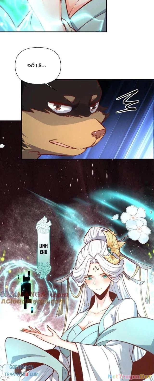 Nguyên Lai Ta Là Tu Tiên Đại Lão Chapter 518 - Trang 4