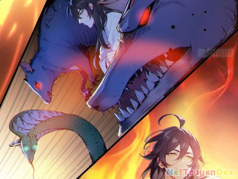 Ngươi Làm Bộ Tu Luyện Đi! Chapter 1 - Trang 3