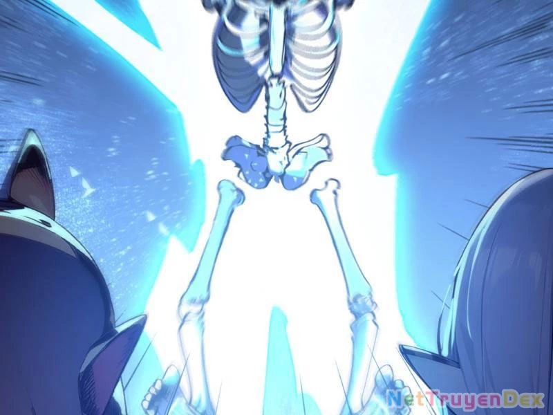 Ngươi Làm Bộ Tu Luyện Đi! Chapter 1 - Trang 3