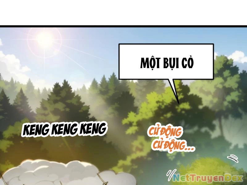 Ngươi Làm Bộ Tu Luyện Đi! Chapter 2 - Trang 3