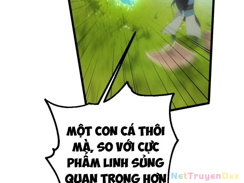 Ngươi Làm Bộ Tu Luyện Đi! Chapter 2 - Trang 3