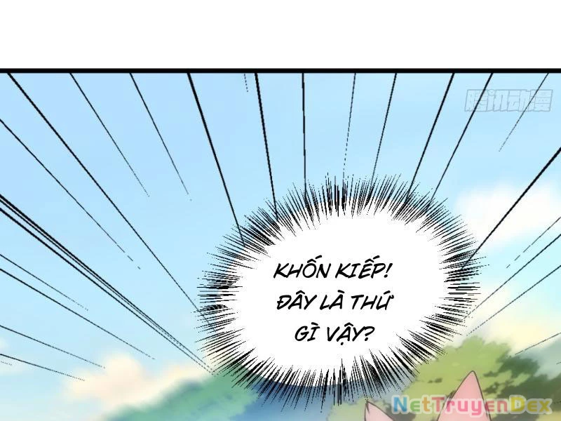 Ngươi Làm Bộ Tu Luyện Đi! Chapter 2 - Trang 3