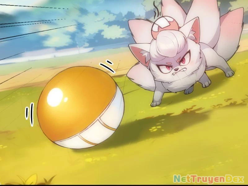 Ngươi Làm Bộ Tu Luyện Đi! Chapter 2 - Trang 3