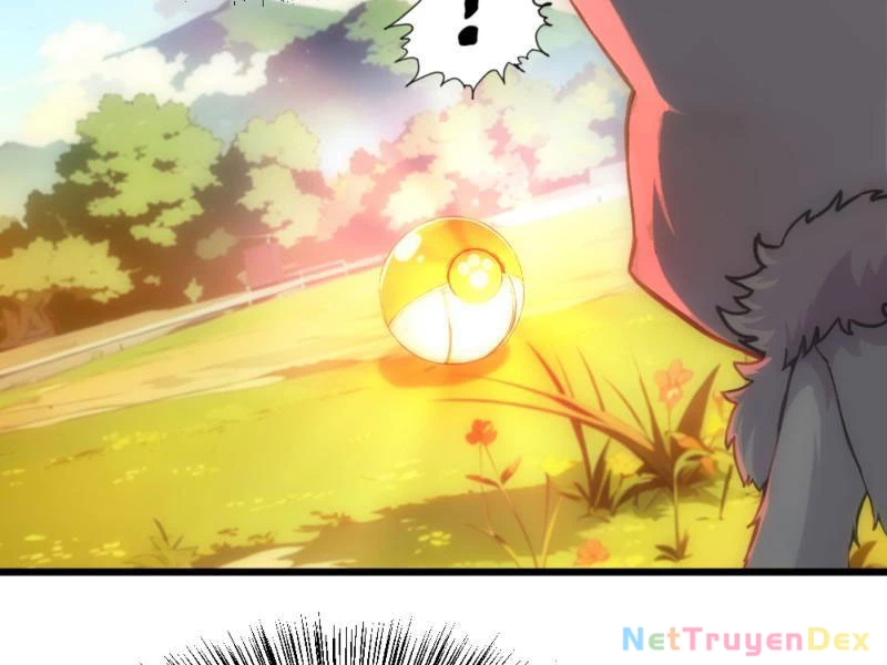 Ngươi Làm Bộ Tu Luyện Đi! Chapter 2 - Trang 3