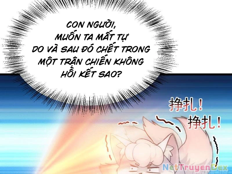 Ngươi Làm Bộ Tu Luyện Đi! Chapter 2 - Trang 3