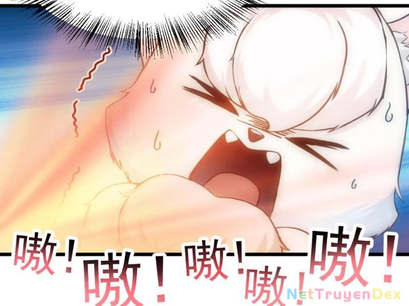 Ngươi Làm Bộ Tu Luyện Đi! Chapter 2 - Trang 3