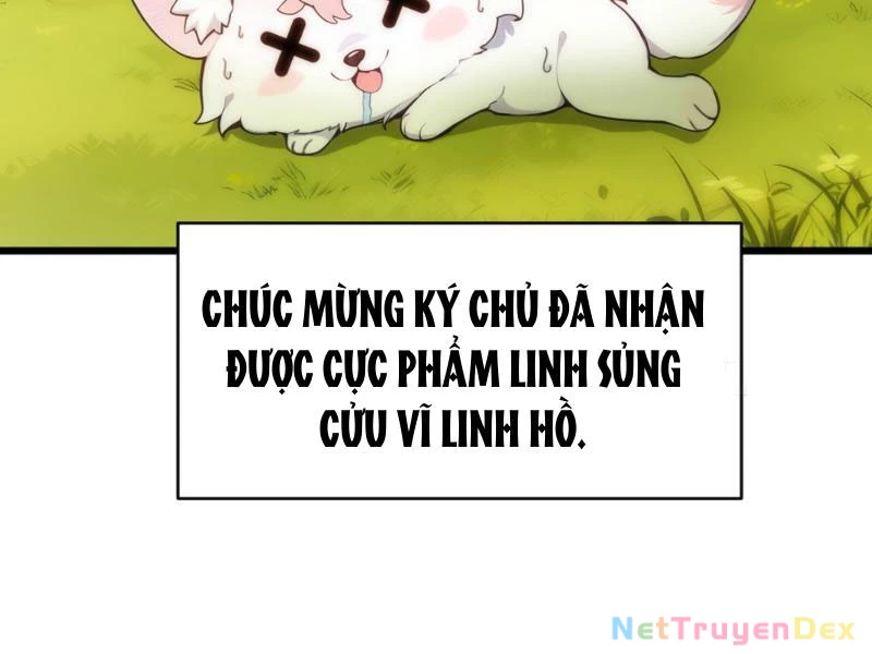 Ngươi Làm Bộ Tu Luyện Đi! Chapter 2 - Trang 3