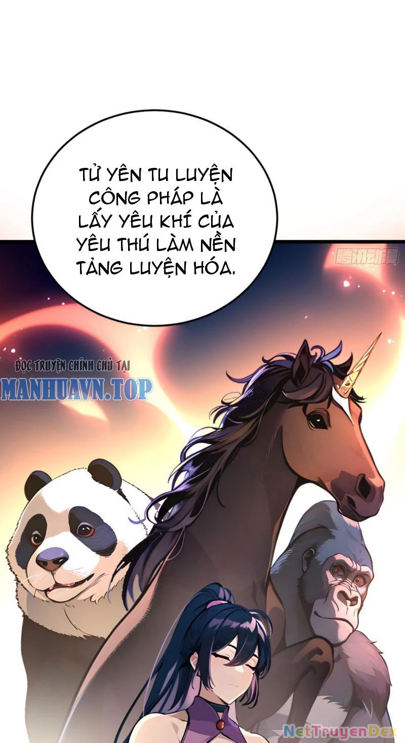Ngươi Làm Bộ Tu Luyện Đi! Chapter 3 - Trang 3