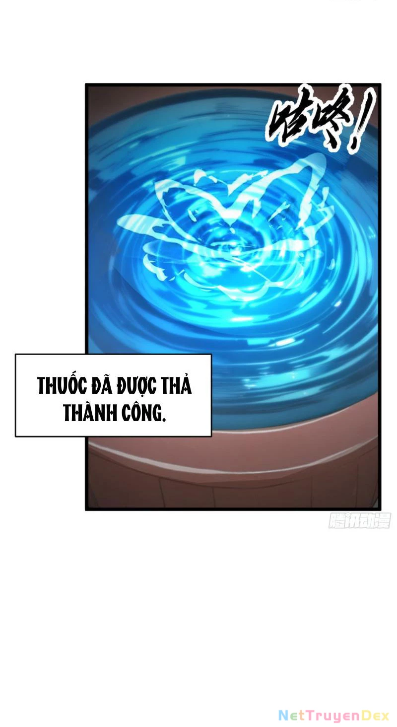 Ngươi Làm Bộ Tu Luyện Đi! Chapter 3 - Trang 3