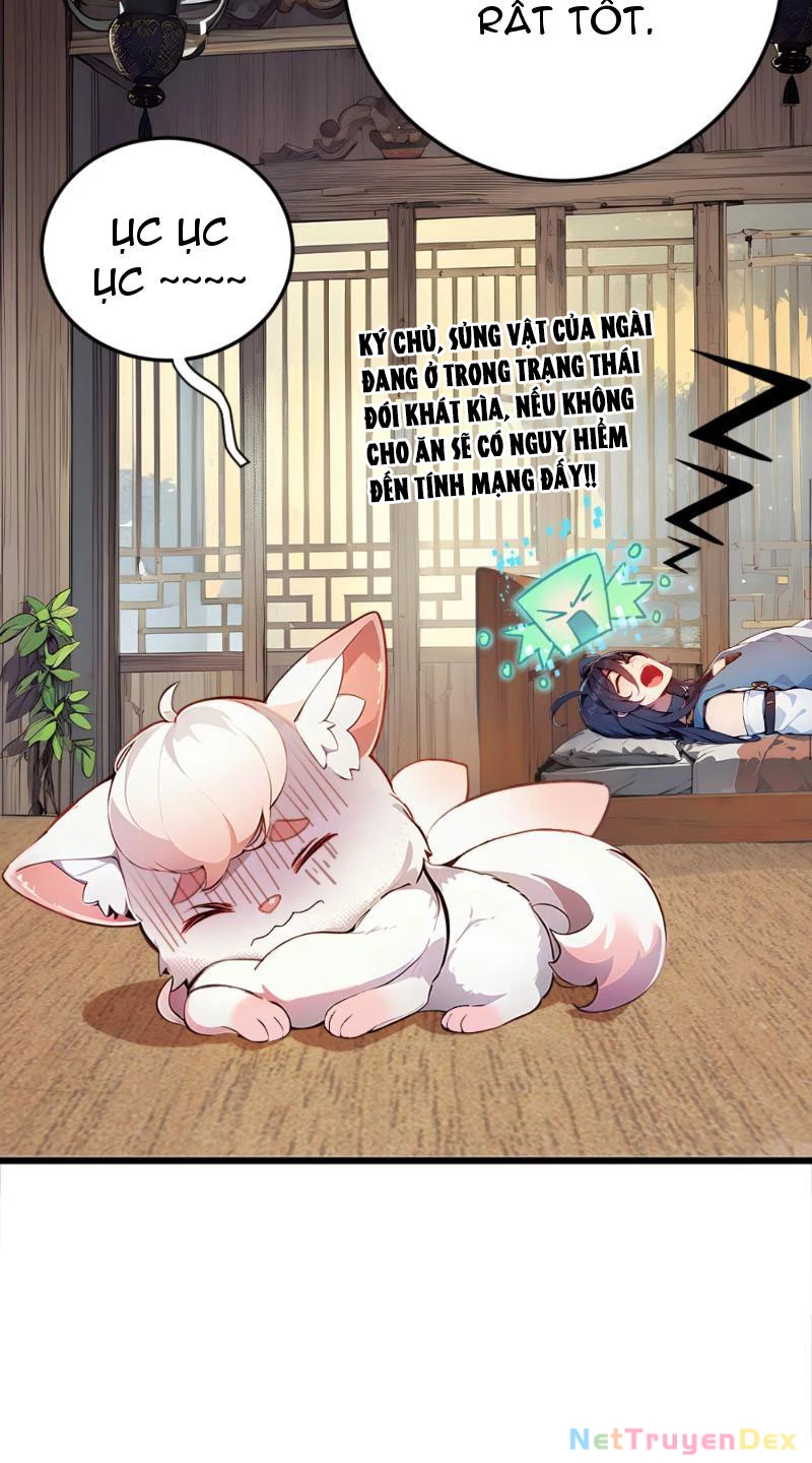 Ngươi Làm Bộ Tu Luyện Đi! Chapter 3 - Trang 3