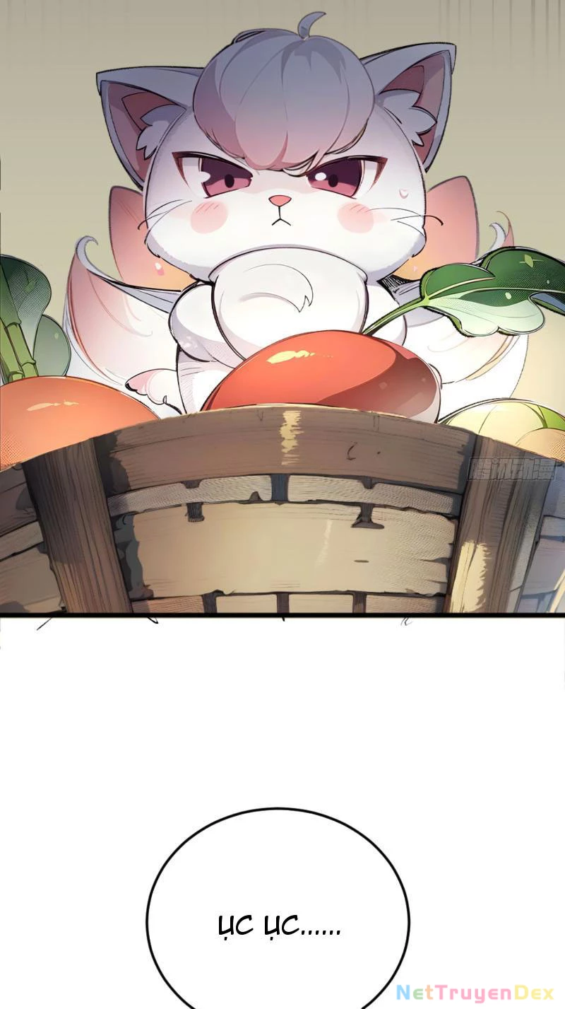 Ngươi Làm Bộ Tu Luyện Đi! Chapter 3 - Trang 3