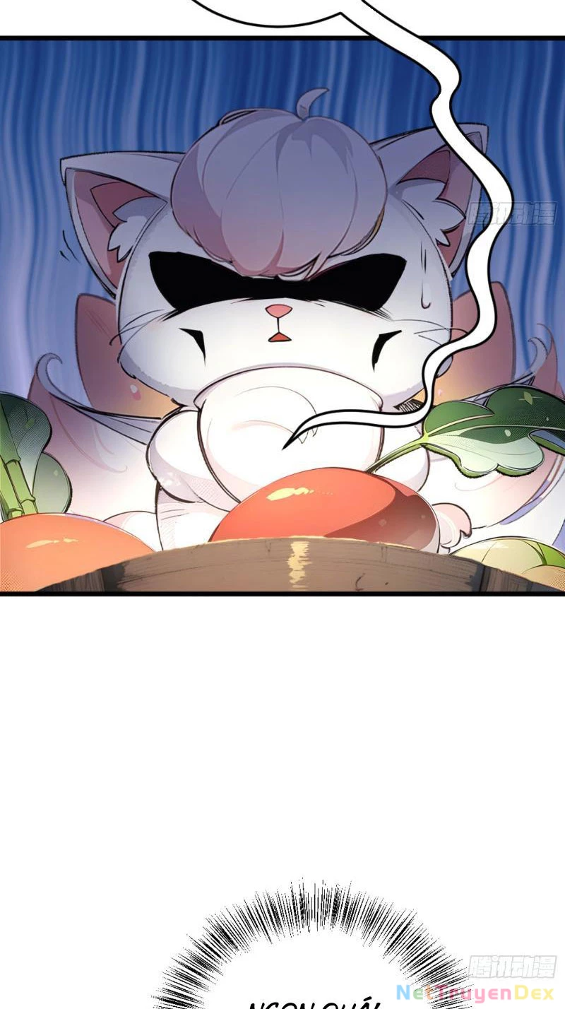 Ngươi Làm Bộ Tu Luyện Đi! Chapter 3 - Trang 3