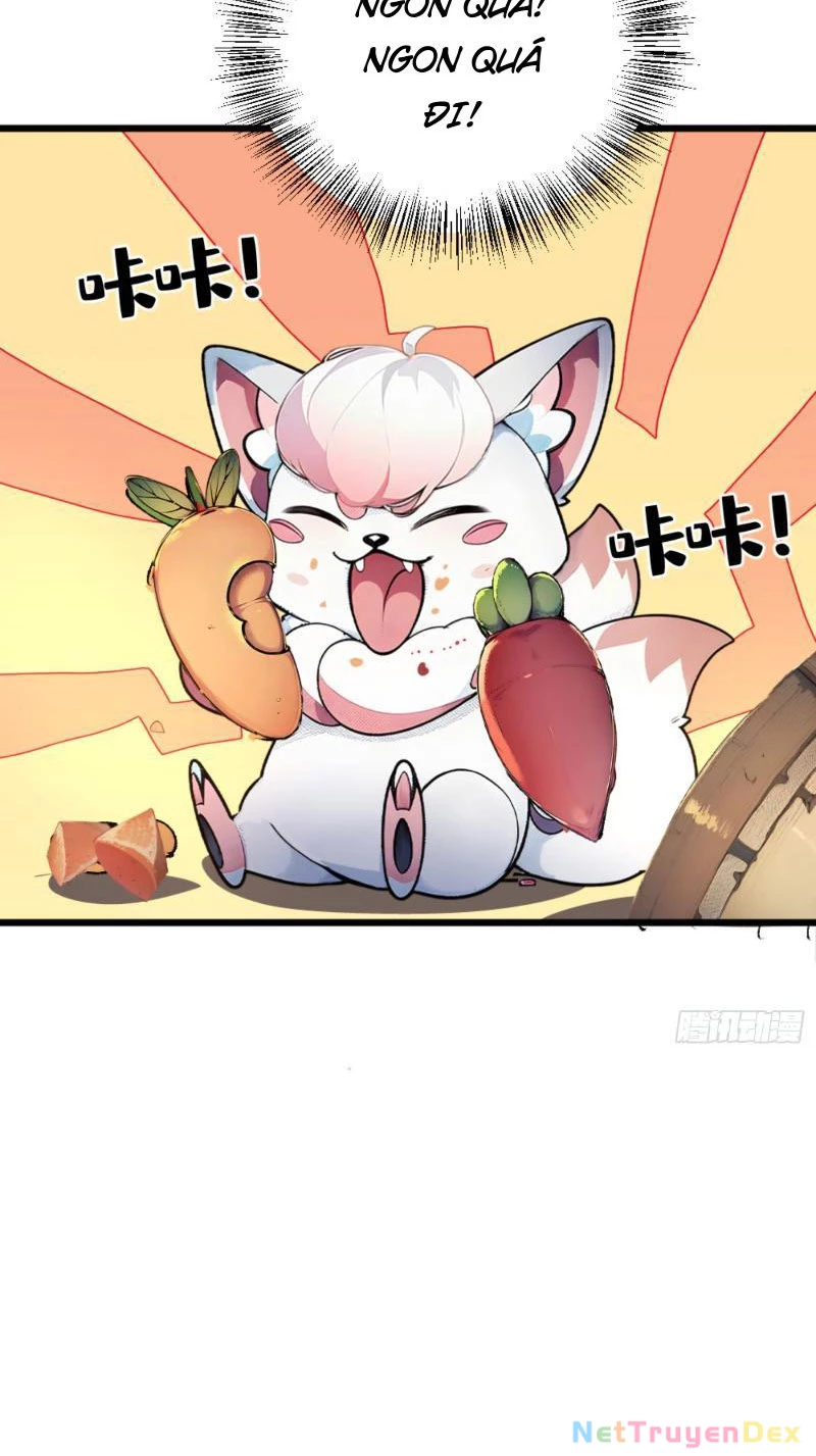 Ngươi Làm Bộ Tu Luyện Đi! Chapter 3 - Trang 3