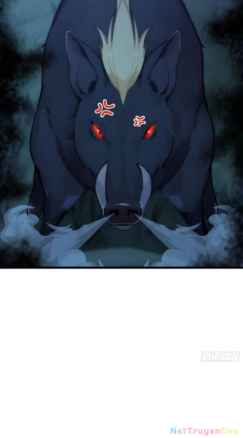 Ngươi Làm Bộ Tu Luyện Đi! Chapter 4 - Trang 3