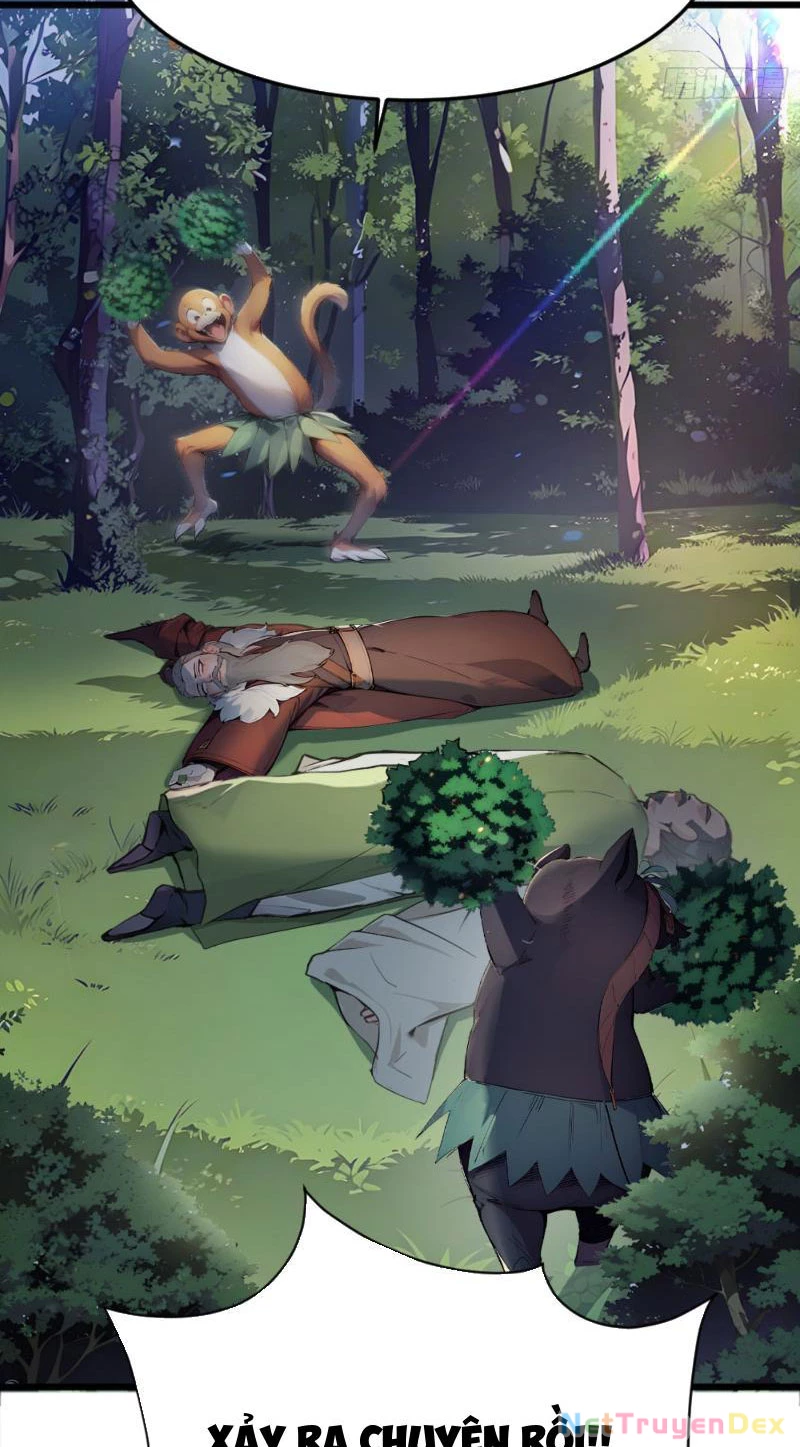 Ngươi Làm Bộ Tu Luyện Đi! Chapter 4 - Trang 3