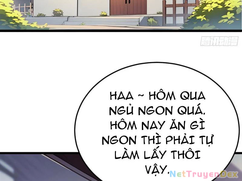 Ngươi Làm Bộ Tu Luyện Đi! Chapter 5 - Trang 3