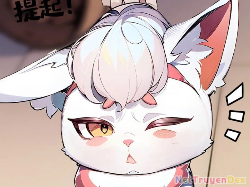 Ngươi Làm Bộ Tu Luyện Đi! Chapter 5 - Trang 3