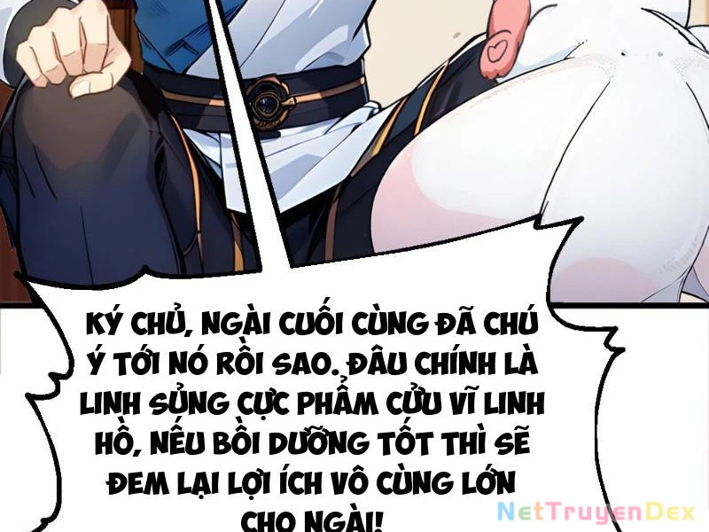Ngươi Làm Bộ Tu Luyện Đi! Chapter 5 - Trang 3