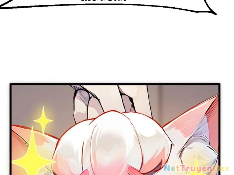 Ngươi Làm Bộ Tu Luyện Đi! Chapter 5 - Trang 3