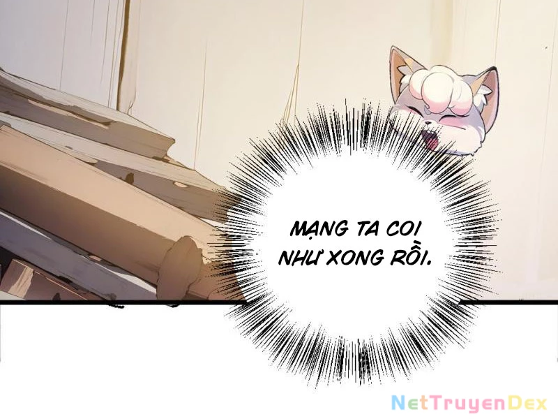 Ngươi Làm Bộ Tu Luyện Đi! Chapter 5 - Trang 3