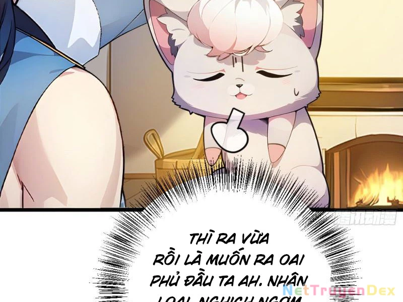Ngươi Làm Bộ Tu Luyện Đi! Chapter 5 - Trang 3