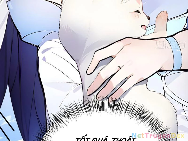 Ngươi Làm Bộ Tu Luyện Đi! Chapter 5 - Trang 3