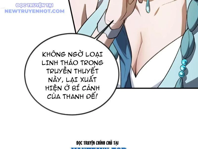 Ta Ở Tu Tiên Giới Chỉ Làm Giờ Hành Chính Chapter 100 - Trang 4