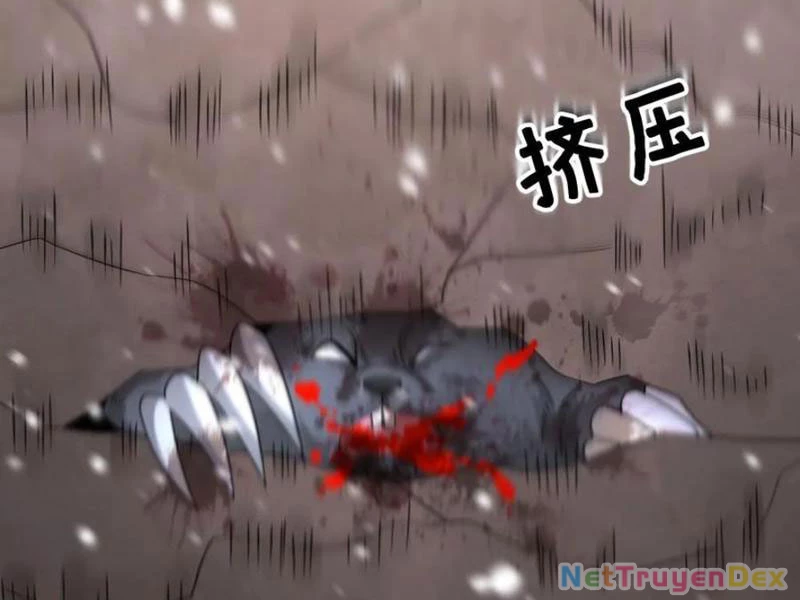 Toàn Cầu Băng Phong: Ta Chế Tạo Phòng An Toàn Tại Tận Thế Chapter 559 - Trang 4