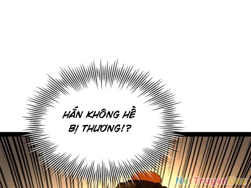 Chàng Rể Mạnh Nhất Lịch Sử Chapter 260 - Trang 4