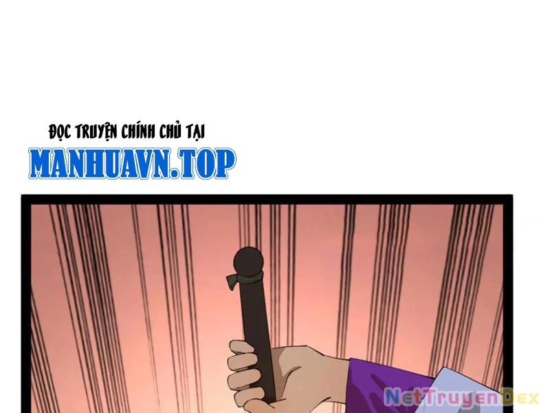 Chàng Rể Mạnh Nhất Lịch Sử Chapter 260 - Trang 4