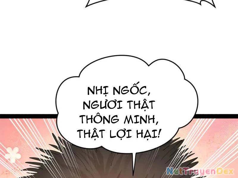 Chàng Rể Mạnh Nhất Lịch Sử Chapter 260 - Trang 4