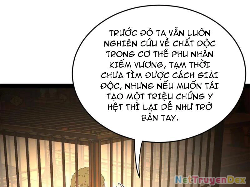 Chàng Rể Mạnh Nhất Lịch Sử Chapter 260 - Trang 4