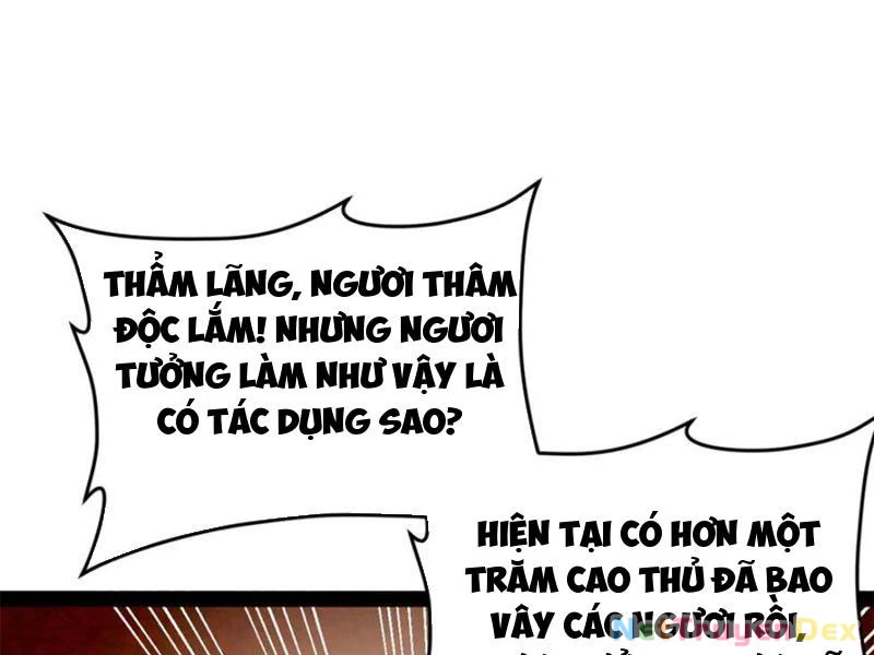 Chàng Rể Mạnh Nhất Lịch Sử Chapter 260 - Trang 4