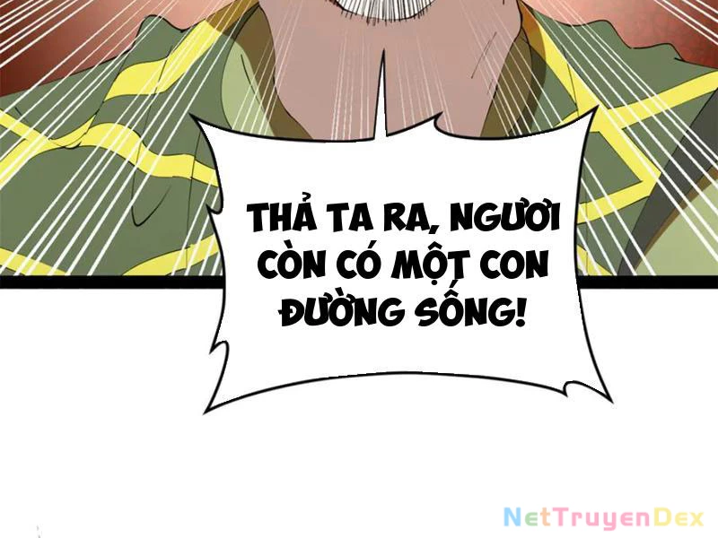 Chàng Rể Mạnh Nhất Lịch Sử Chapter 260 - Trang 4