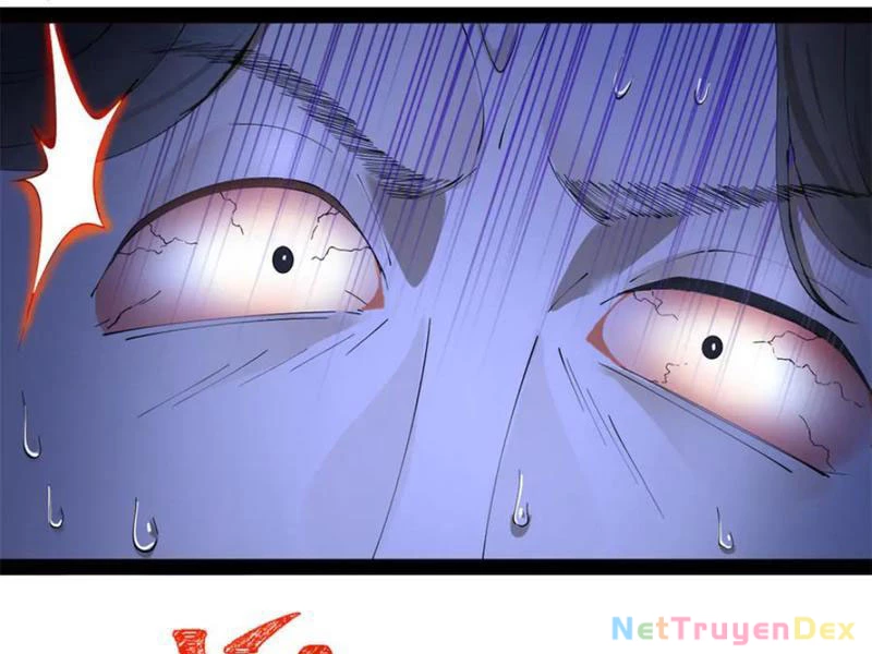 Chàng Rể Mạnh Nhất Lịch Sử Chapter 260 - Trang 4