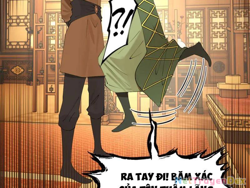 Chàng Rể Mạnh Nhất Lịch Sử Chapter 260 - Trang 4