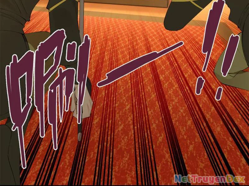 Chàng Rể Mạnh Nhất Lịch Sử Chapter 260 - Trang 4