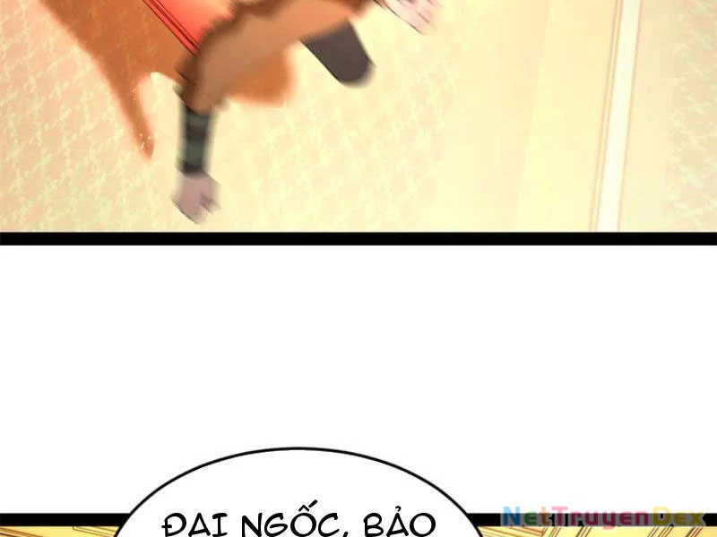 Chàng Rể Mạnh Nhất Lịch Sử Chapter 260 - Trang 4