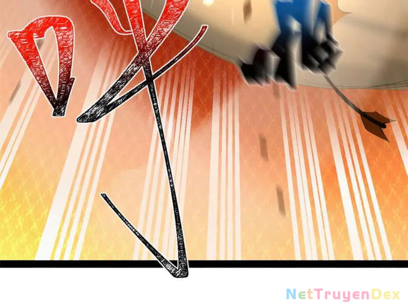 Chàng Rể Mạnh Nhất Lịch Sử Chapter 260 - Trang 4