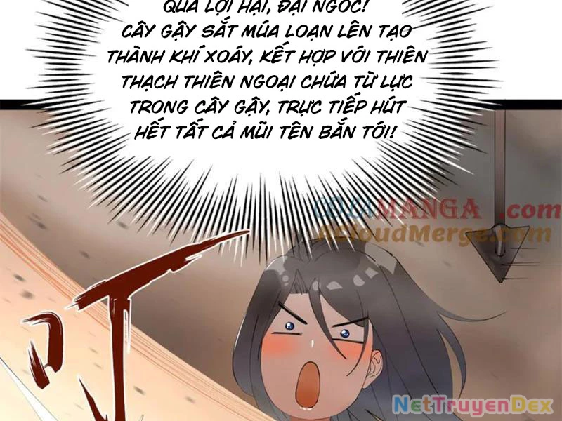 Chàng Rể Mạnh Nhất Lịch Sử Chapter 260 - Trang 4