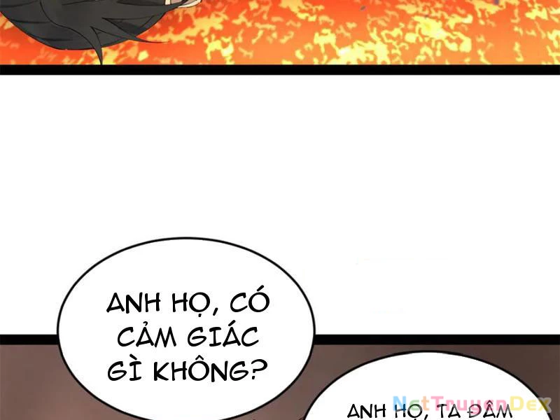 Chàng Rể Mạnh Nhất Lịch Sử Chapter 260 - Trang 4