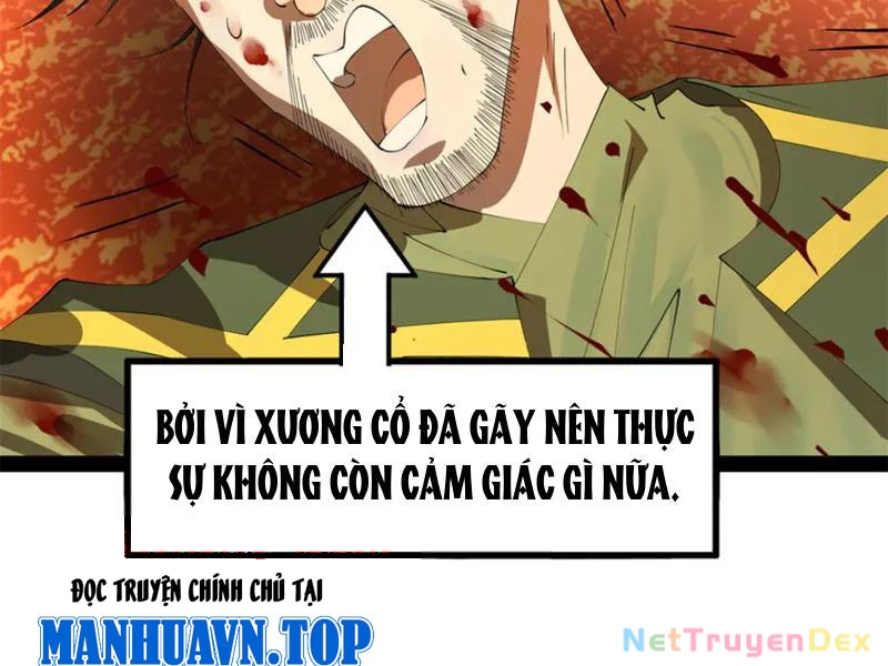 Chàng Rể Mạnh Nhất Lịch Sử Chapter 260 - Trang 4